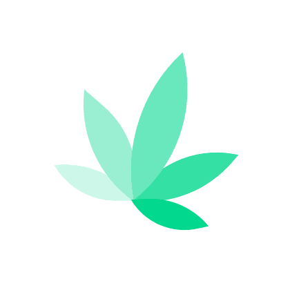 RAW Black Hemp Papers